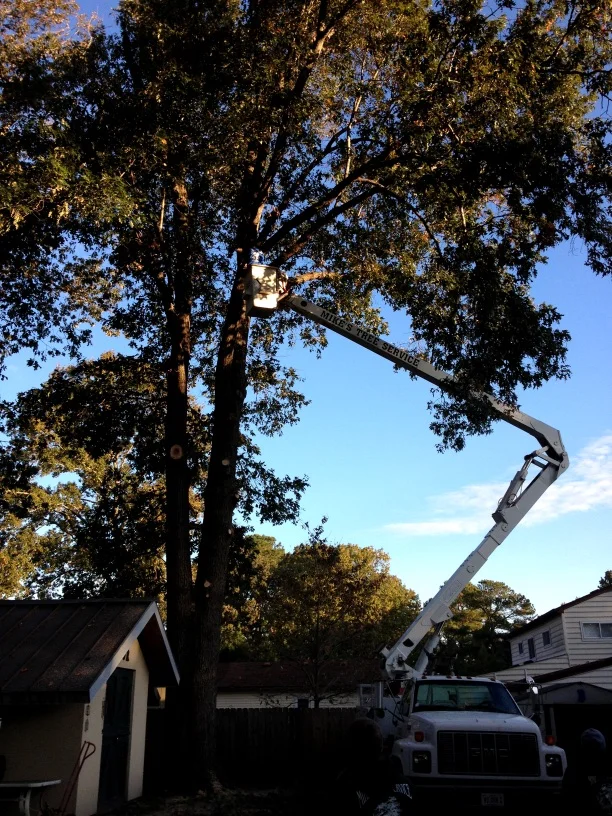 Mike's Tree Service Professional Bucket Truck for High Tree Access Virginia Beach