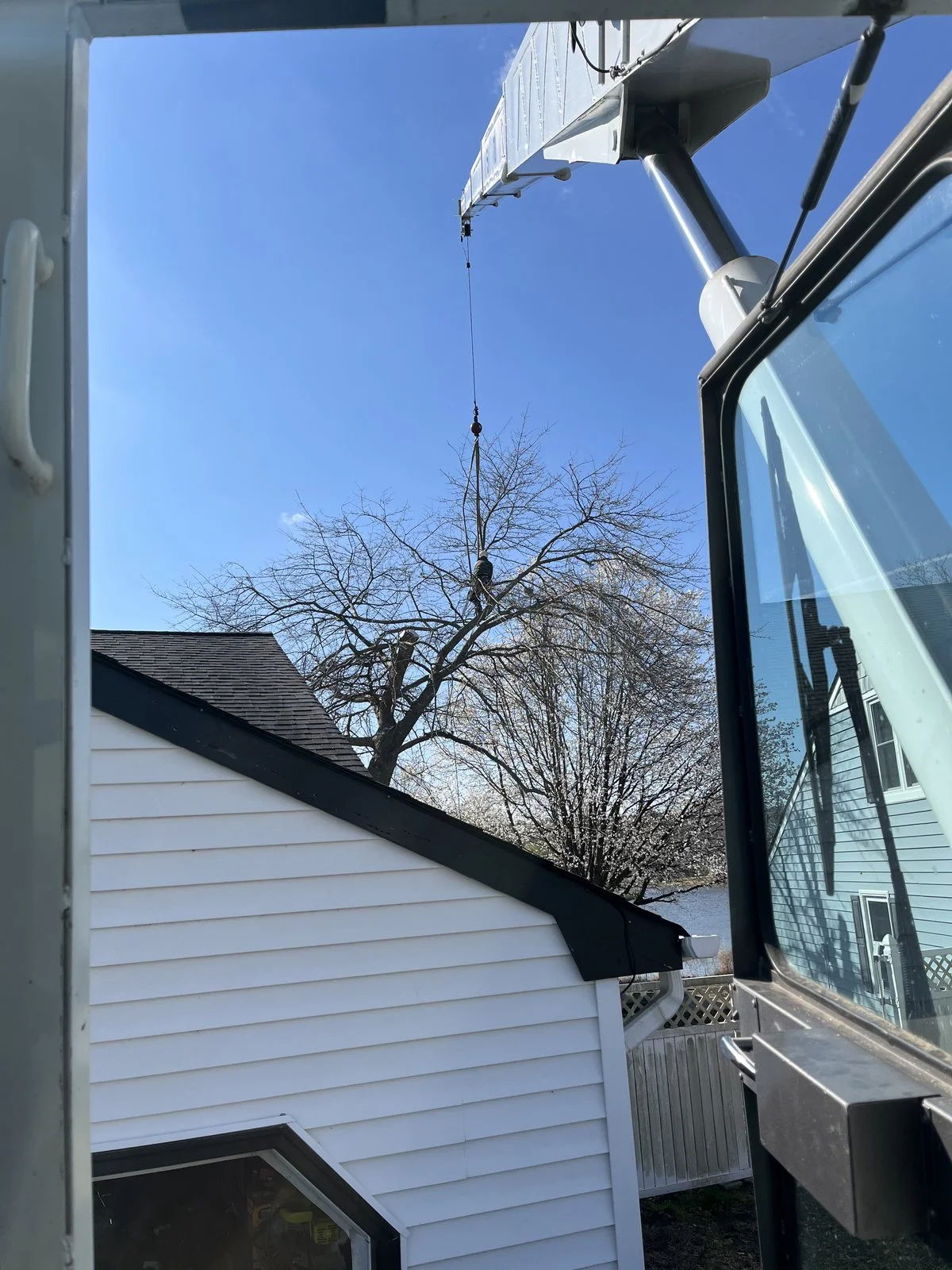 Mike's Tree Service Professional Team at Work in Virginia Beach